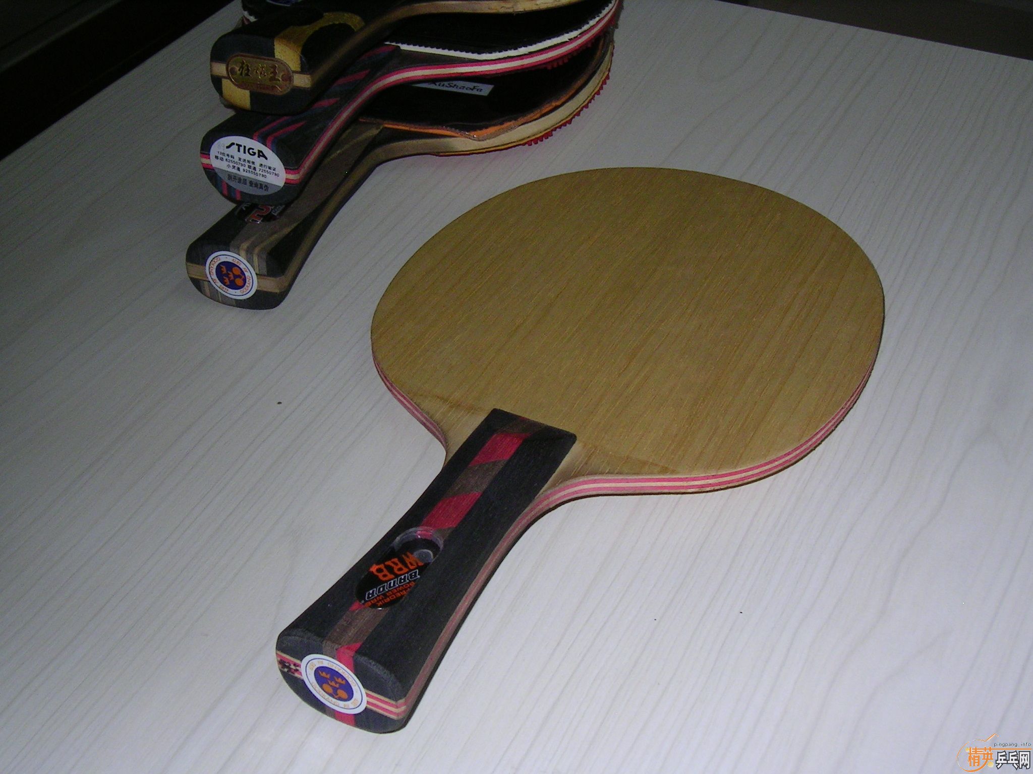 BANDA CL 300��˳��