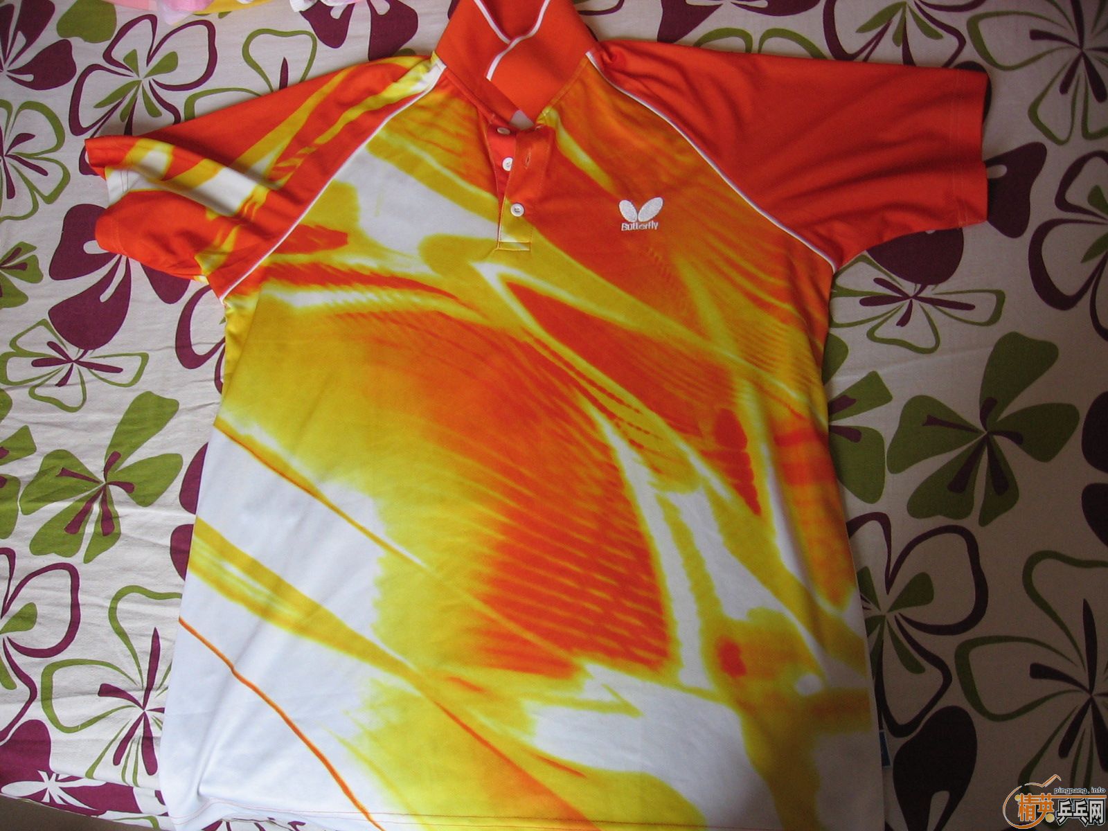 ������ƹ�������������������������������