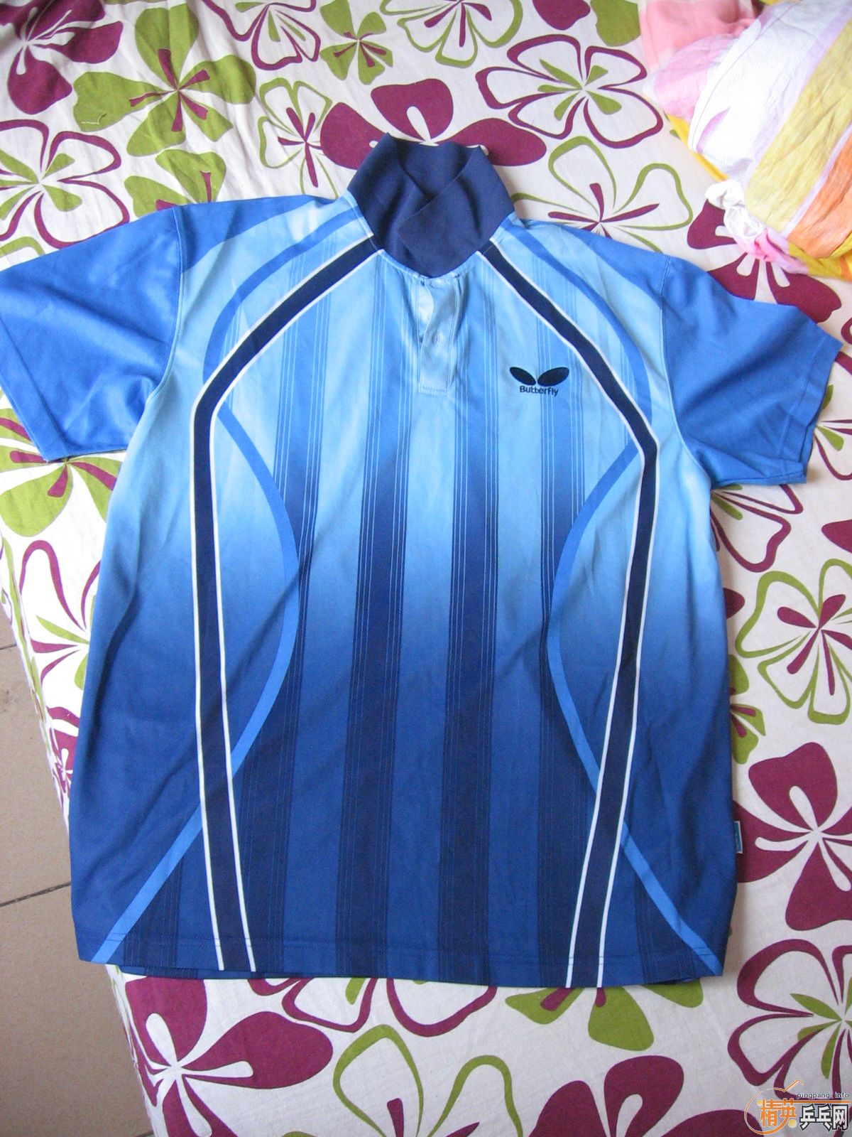 ������ƹ�������������������������������