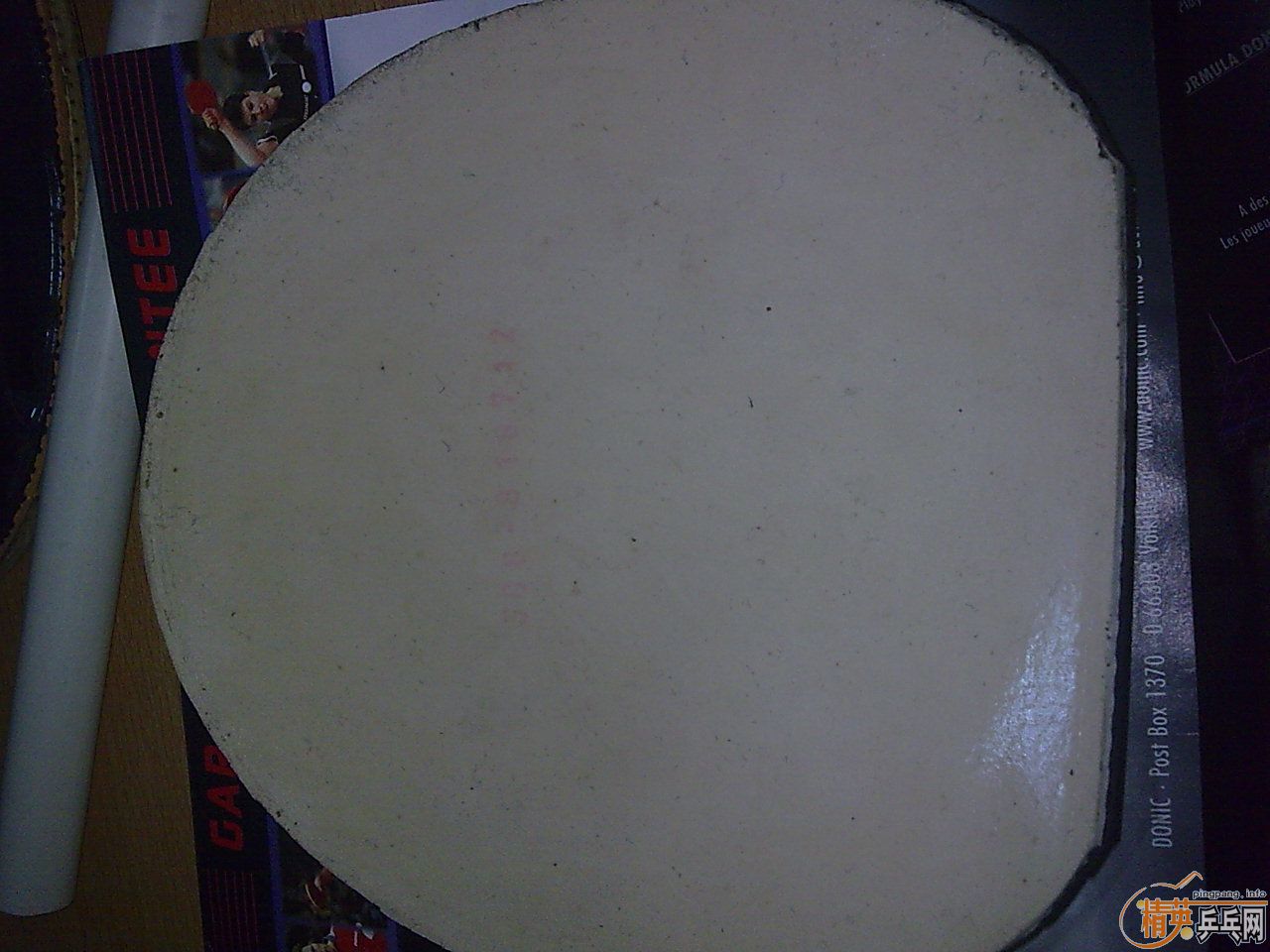 ���˳���ɫF1���ᣩ������ɫ�����׽�Ҳ��