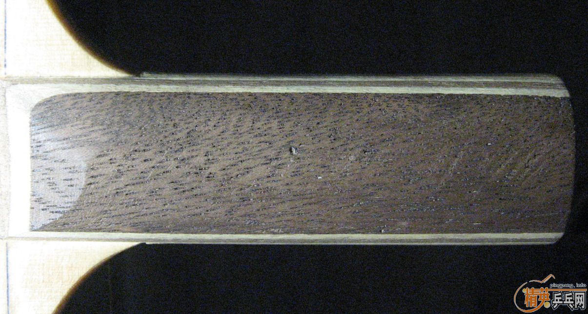 �����Գ�һֻDARKER-S90������עƷ��9.5mm��-ΨһFL��ST