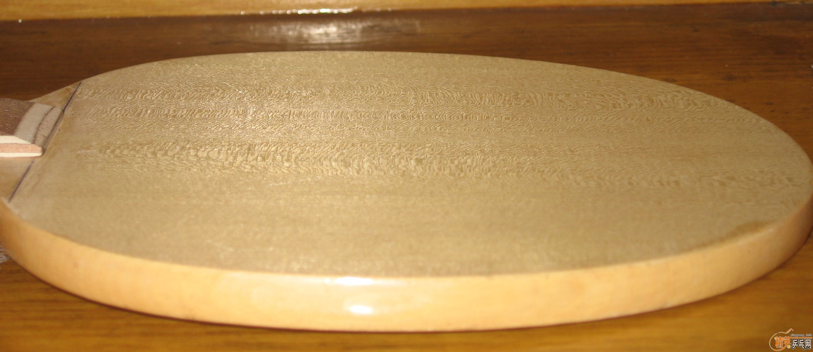 �����Գ�һֻDARKER-S90������עƷ��9.5mm��-ΨһFL��ST