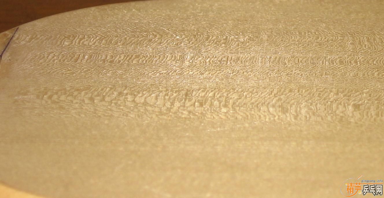 �����Գ�һֻDARKER-S90������עƷ��9.5mm��-ΨһFL��ST