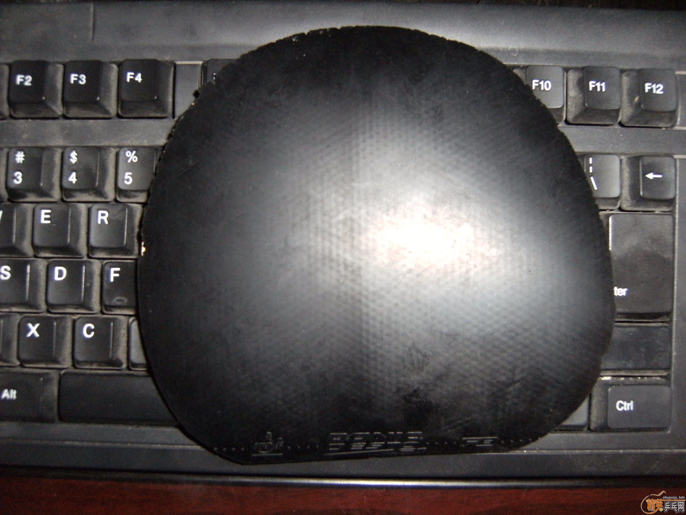 �����F1�׽�