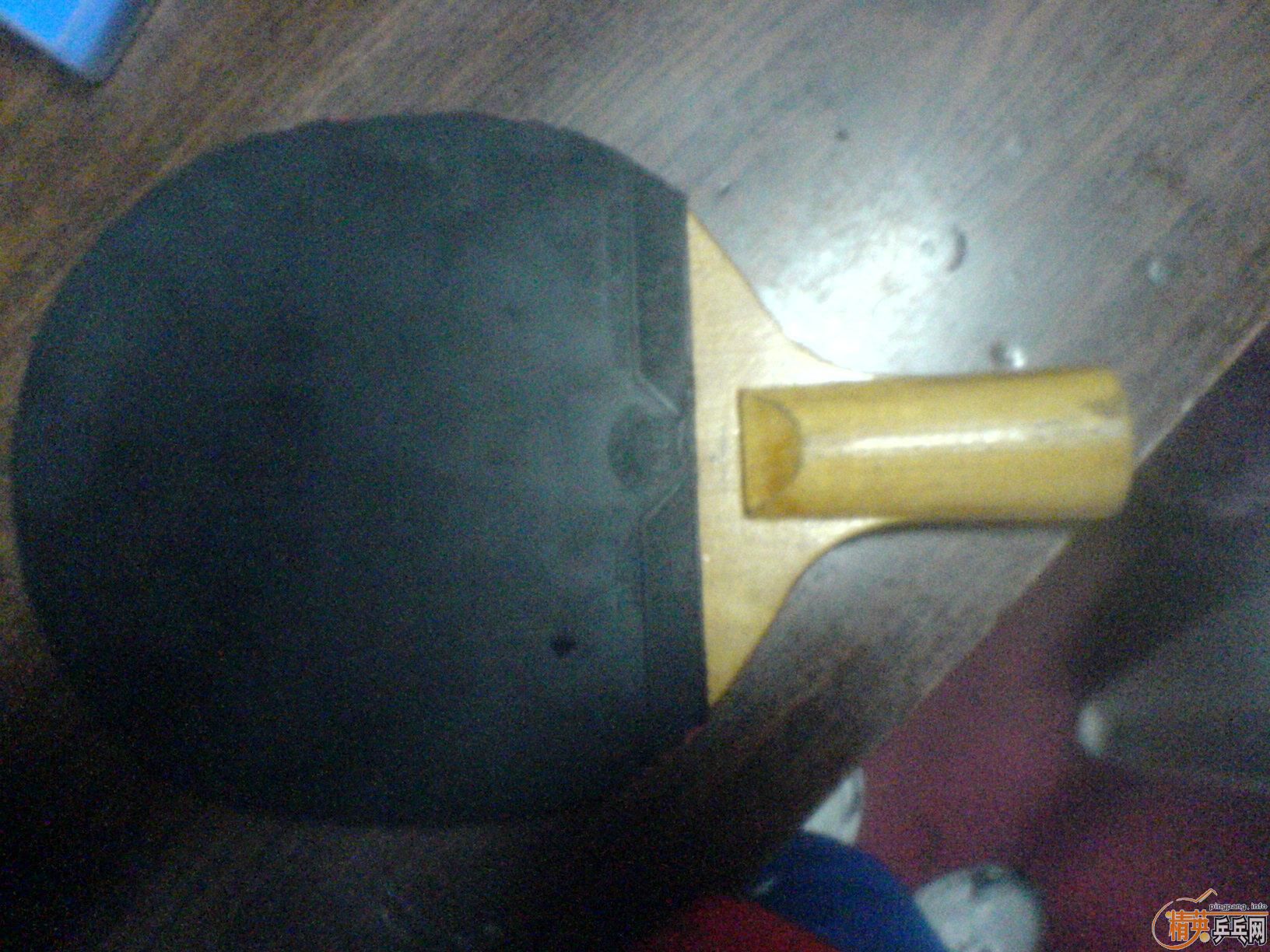 2ֻӣƺͽ˼