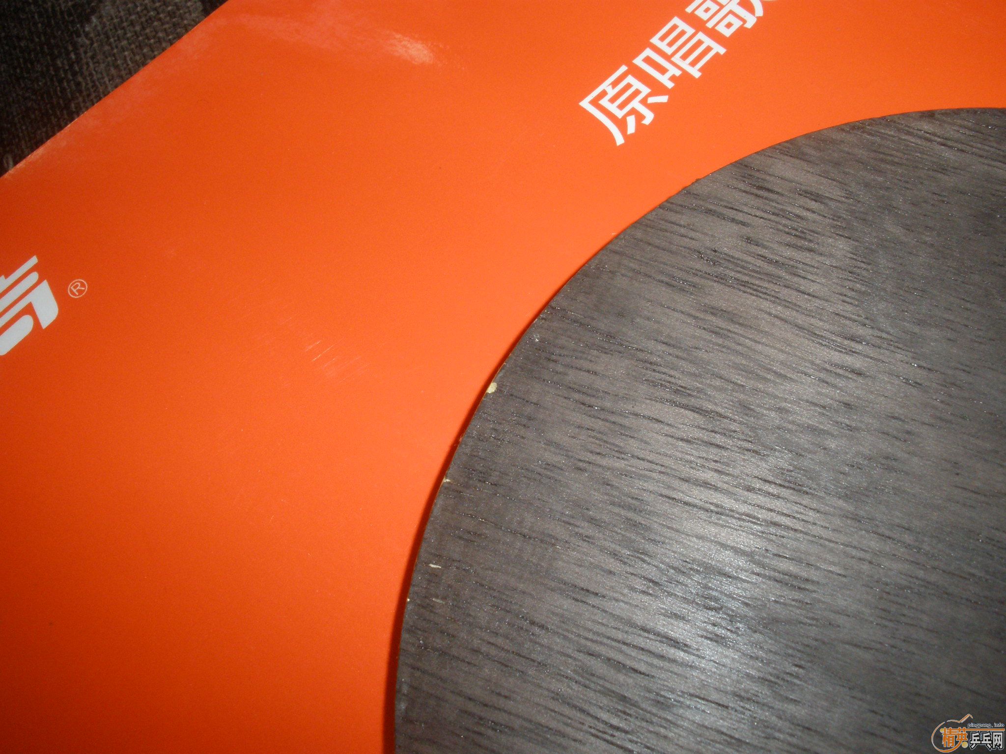 ��ʵ�ı���ocһ֧������