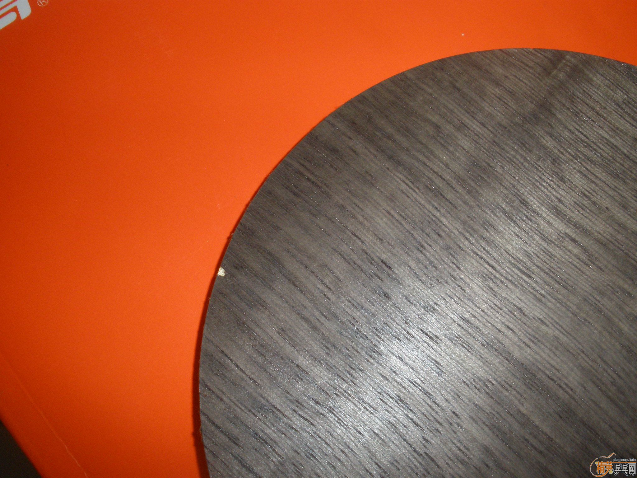 ��ʵ�ı���ocһ֧������