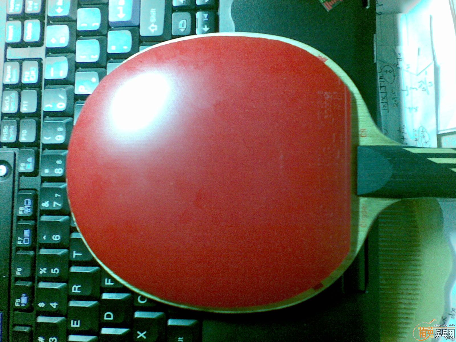 50���ʳ����� С����Ŀ����  9�¼Ӻ�ճ