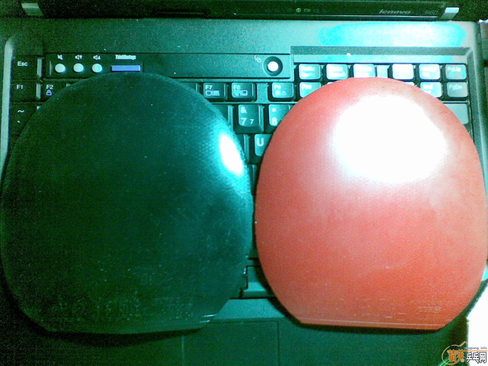 50���ʳ����� С����Ŀ����  9�¼Ӻ�ճ