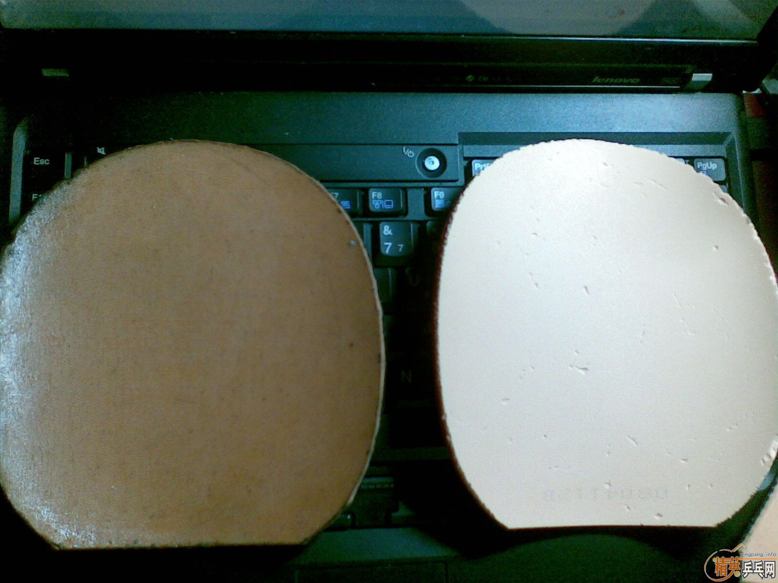 50���ʳ����� С����Ŀ����  9�¼Ӻ�ճ