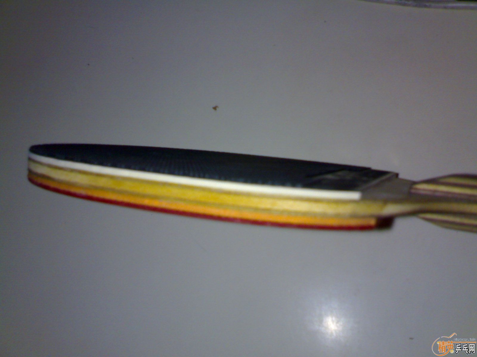 �Ʊ���ֱ�Ļ�������