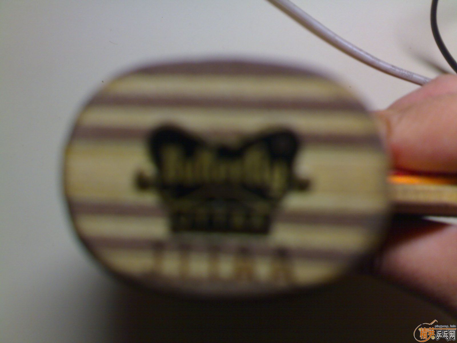 �Ʊ���ֱ�Ļ�������