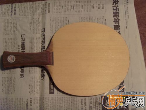 350����˦�л�������̼һֻ