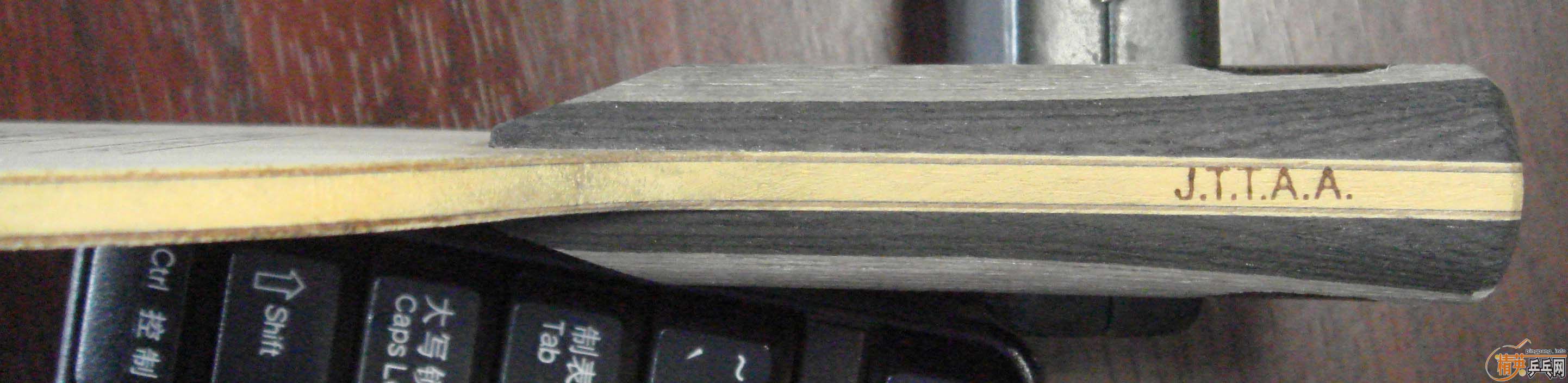 �����Yasaka����̼YCA