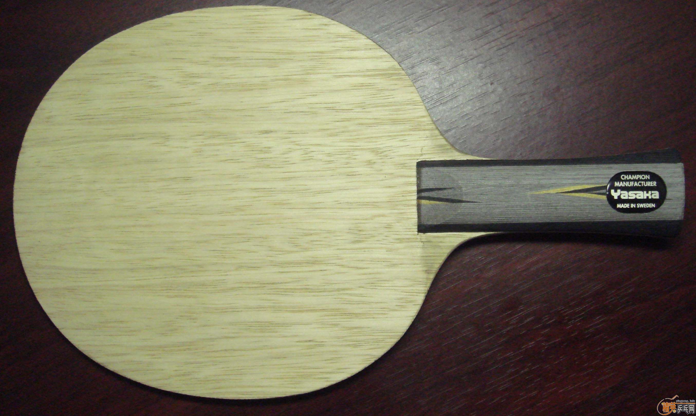 �����Yasaka����̼YCA