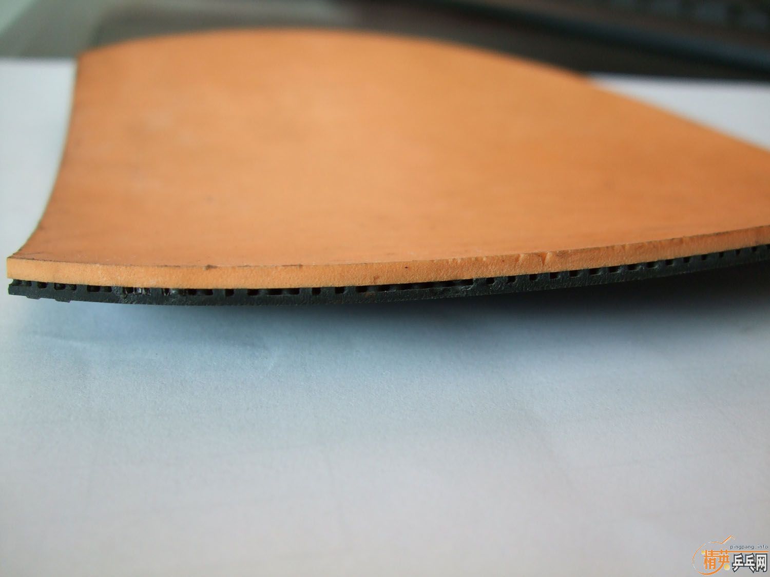 �켫��41�Ⱥ�ɫ�׽�������39�Ȼ�40�ȣ���������ͬ���׽�