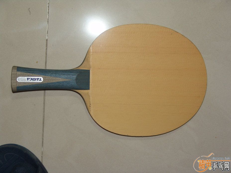 ����ISHLION ��˹�ٿ�oc-cr-web˦��