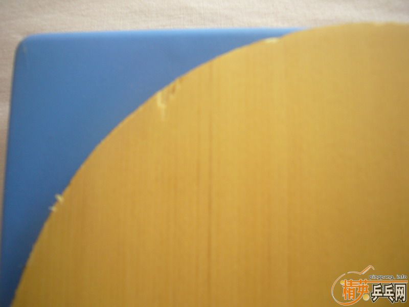 ���µ�����v1����