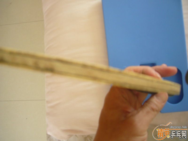 ���µ�����v1����