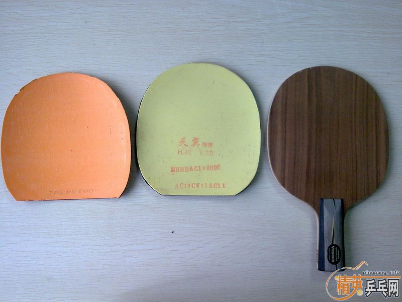 ���׳���������ܵ�YEO������