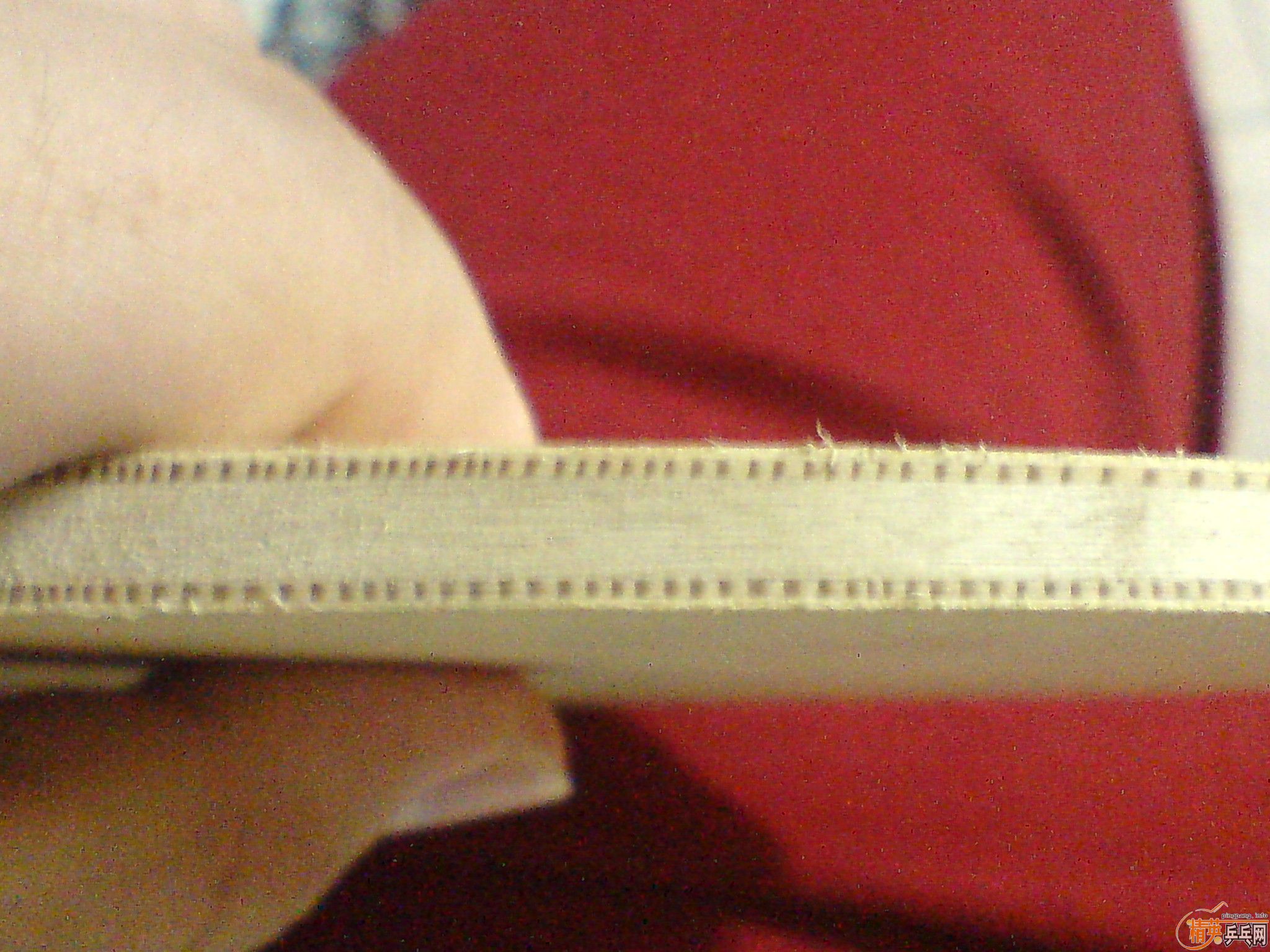 PALIO����壬��Ʒ�༫�����д��˻����߶��߱��Ľ��ڰ�