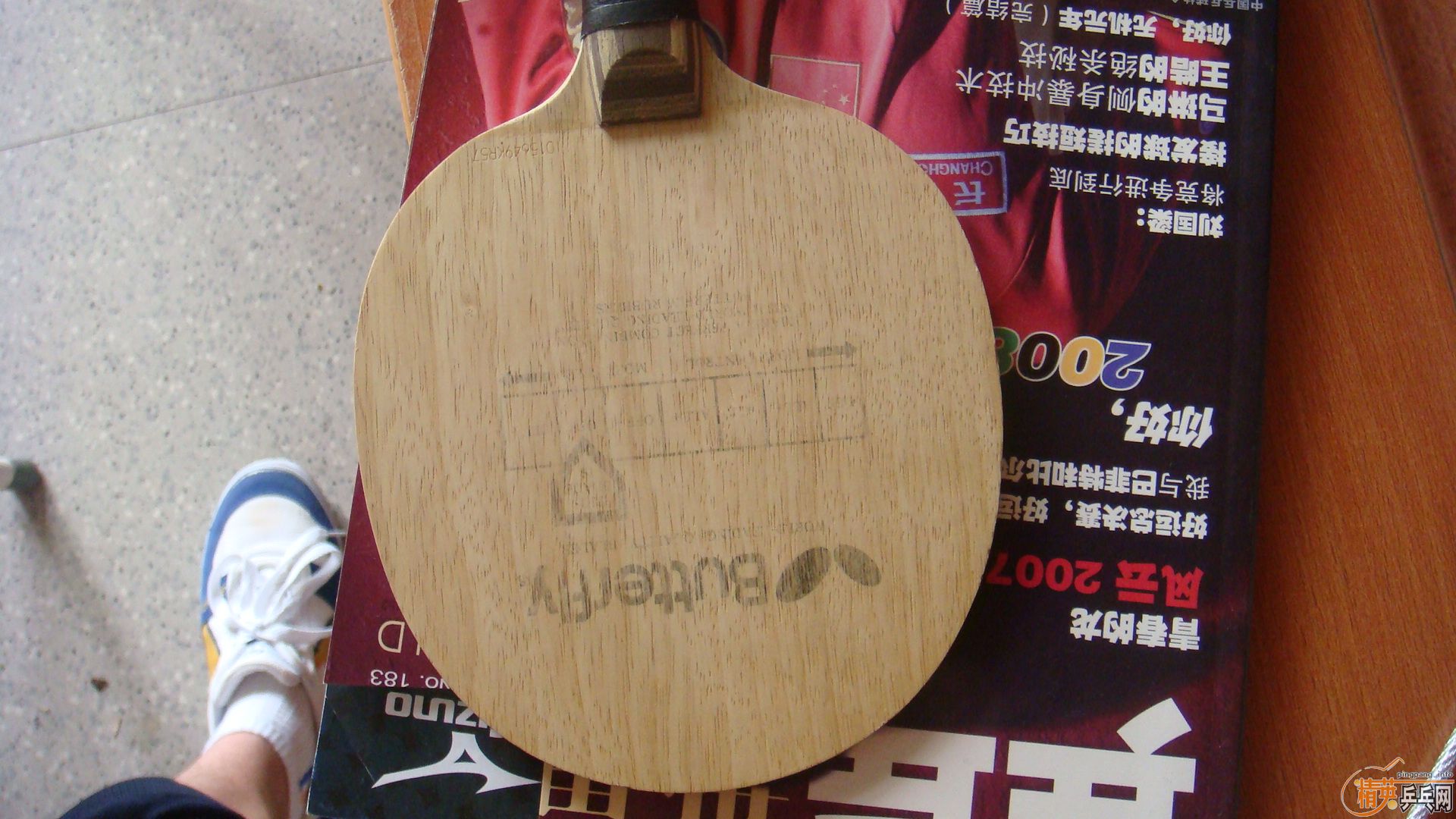 �����Ʊ������ģ�