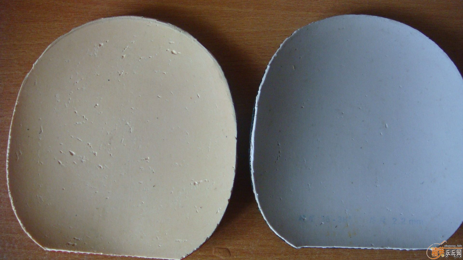 �����Ʊ������ģ�