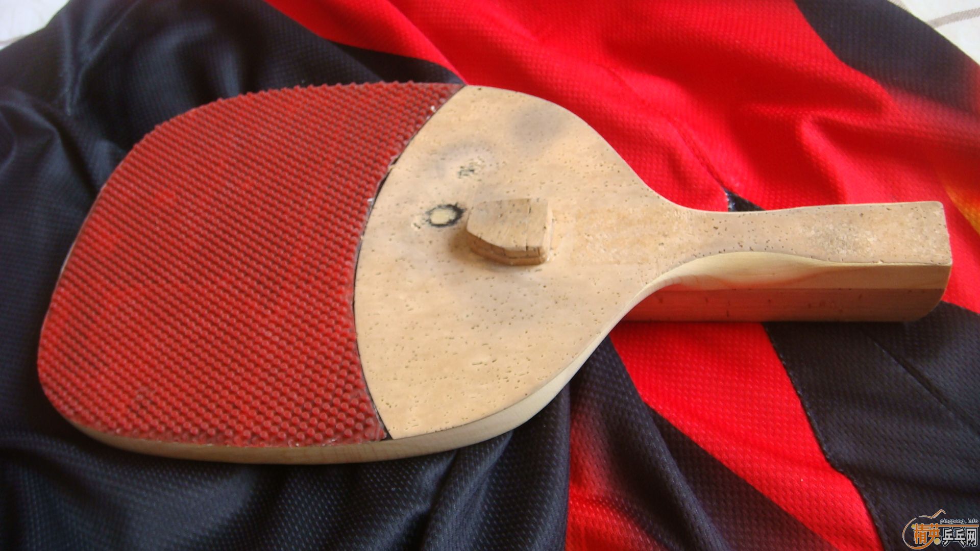 �մ���� ��С���桶���������ر���ע��Ʒ��������