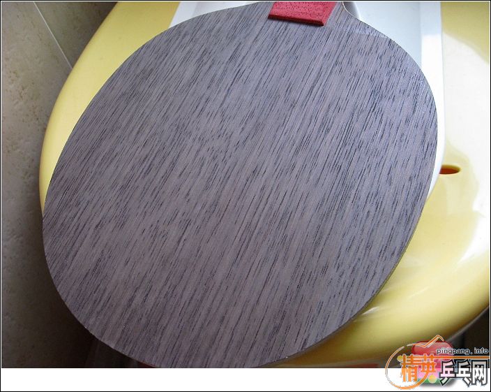 �ٳ��鼫Ʒgemini��300����