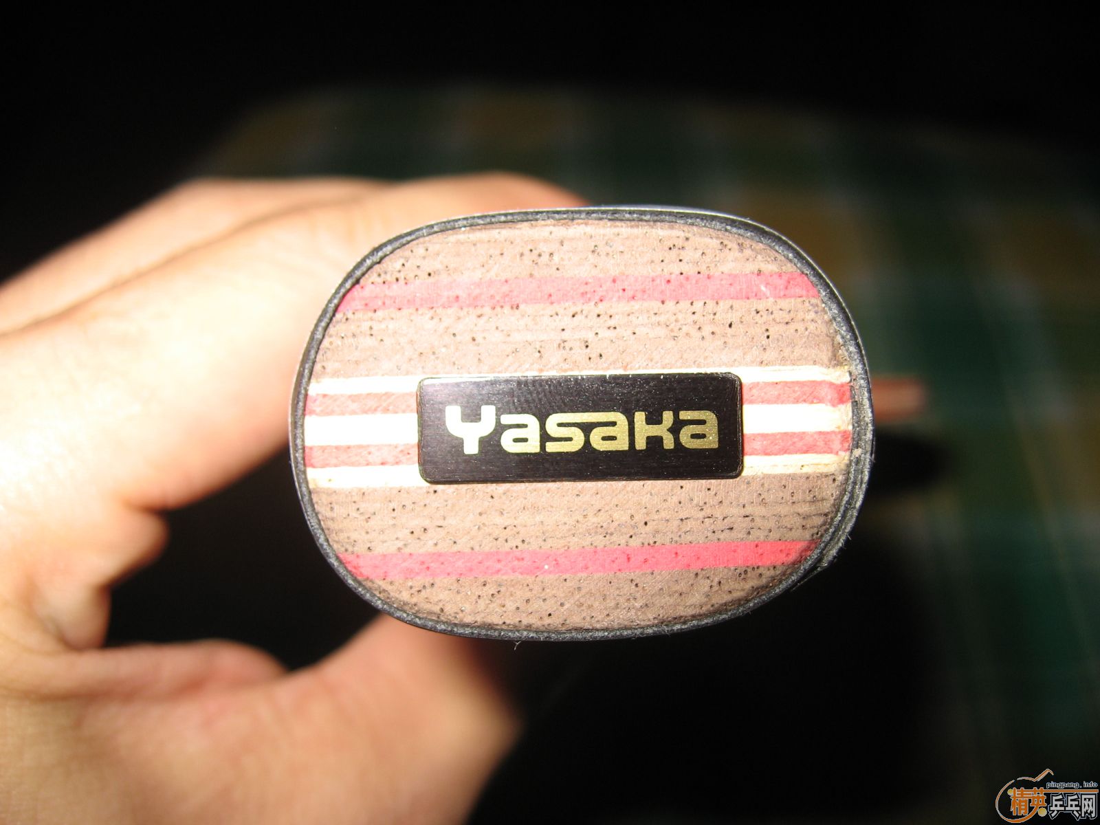 ��stiga-yasaka-CL-FL-99�£��հ洿CL��