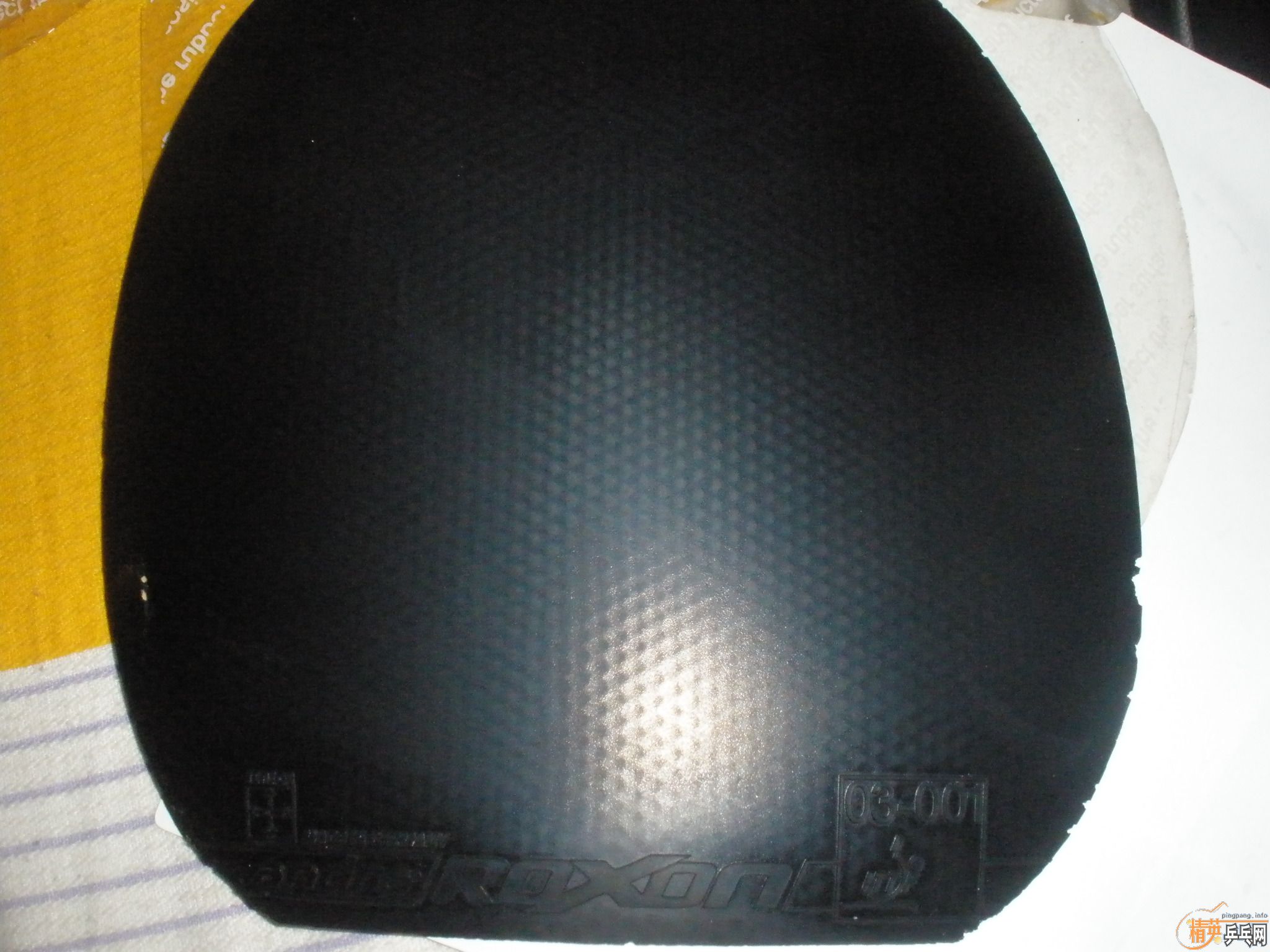 nimbus viproxon500ȽƤͼ˦