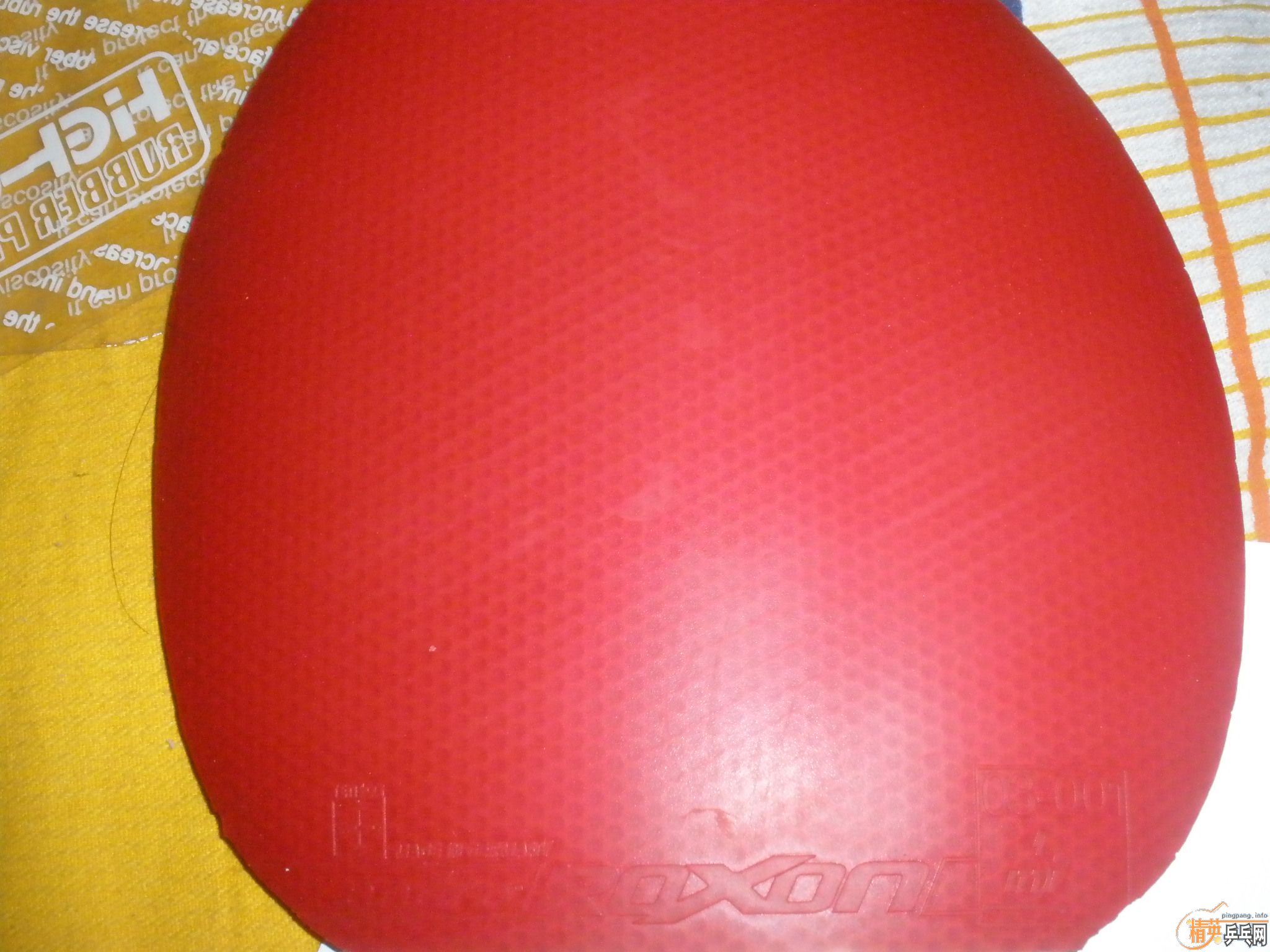 nimbus viproxon500ȽƤͼ˦