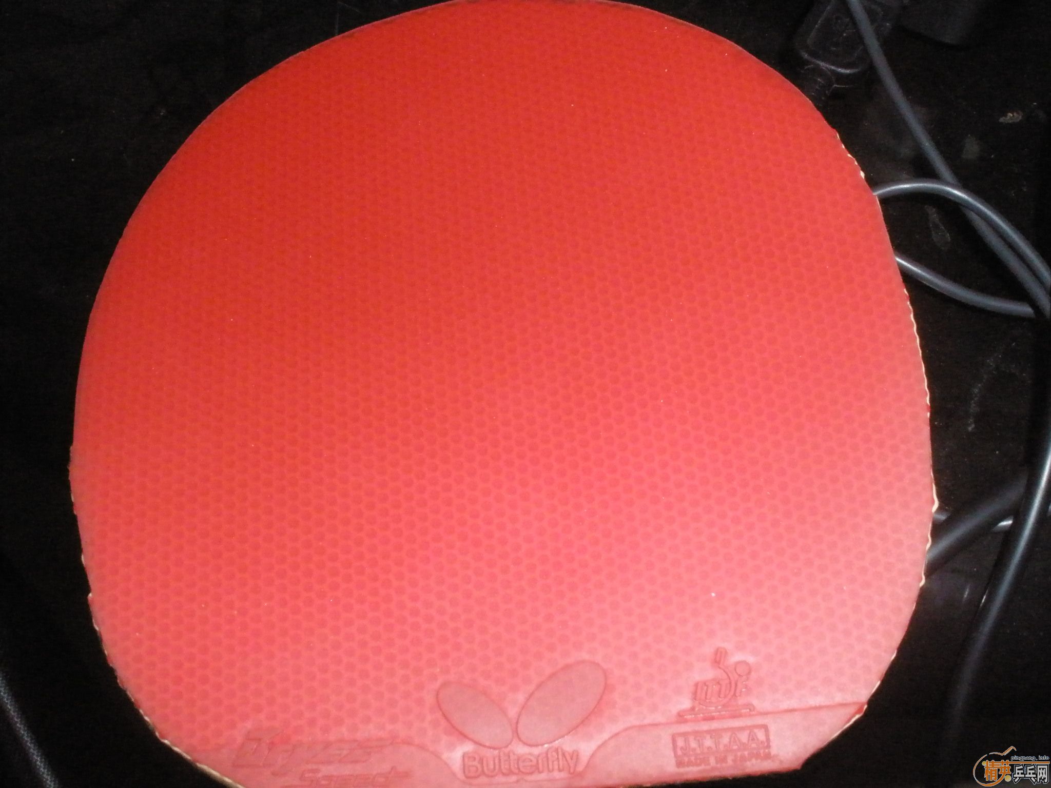 nimbus viproxon500ȽƤͼ˦