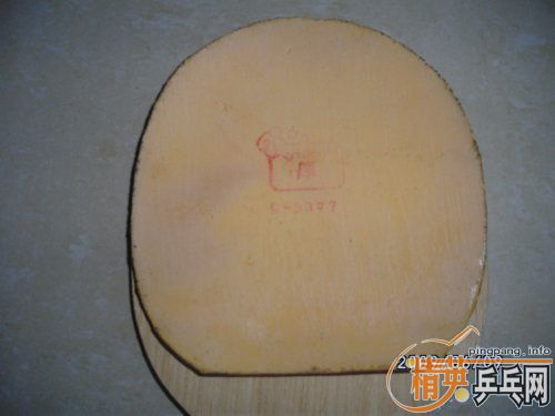 �� TSP ����      729