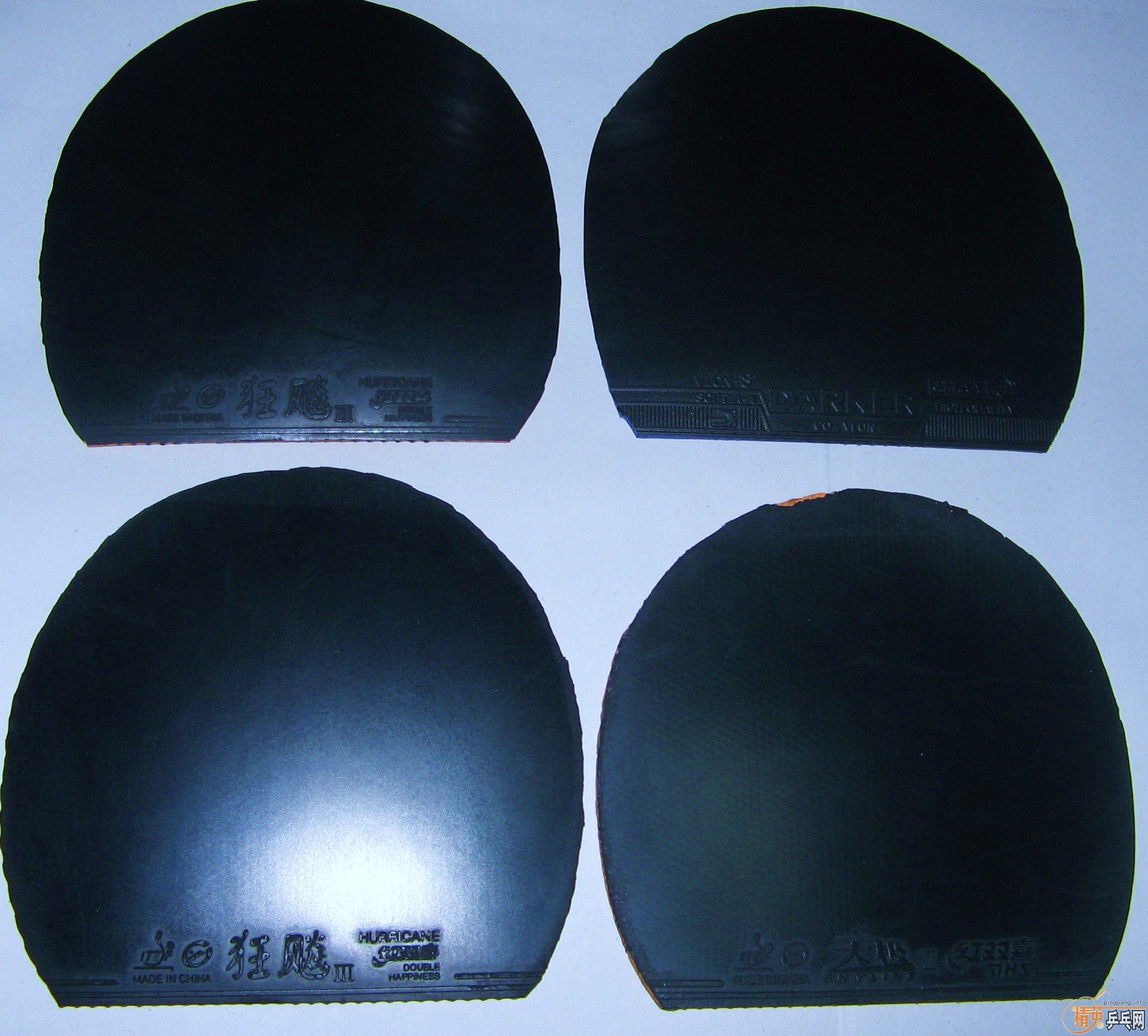 [ע��]��ֱ�����Ժ�˫ϲԭ��ʡ��Ⱥý���û��