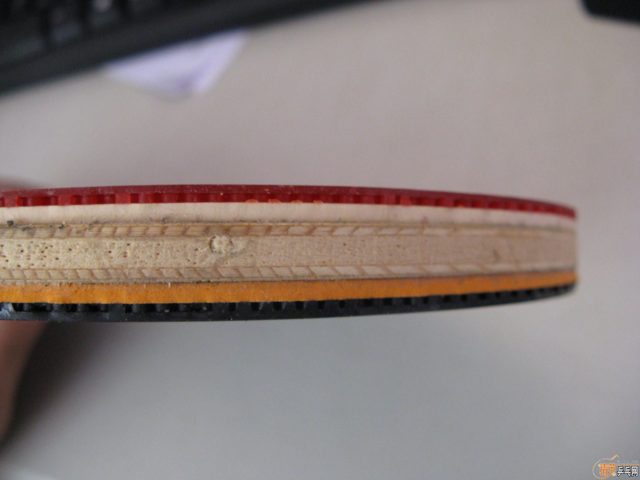 ������H-WL���ų� 300���� ��ȴ�������