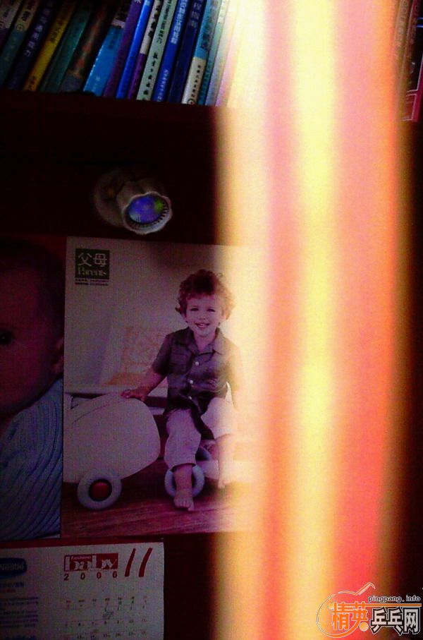 �����Գ�ֱ����ʤ�л�stiga clipper oversive wrb(�����)