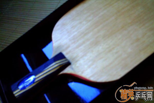 �����Գ�ֱ����ʤ�л�stiga clipper oversive wrb(�����)