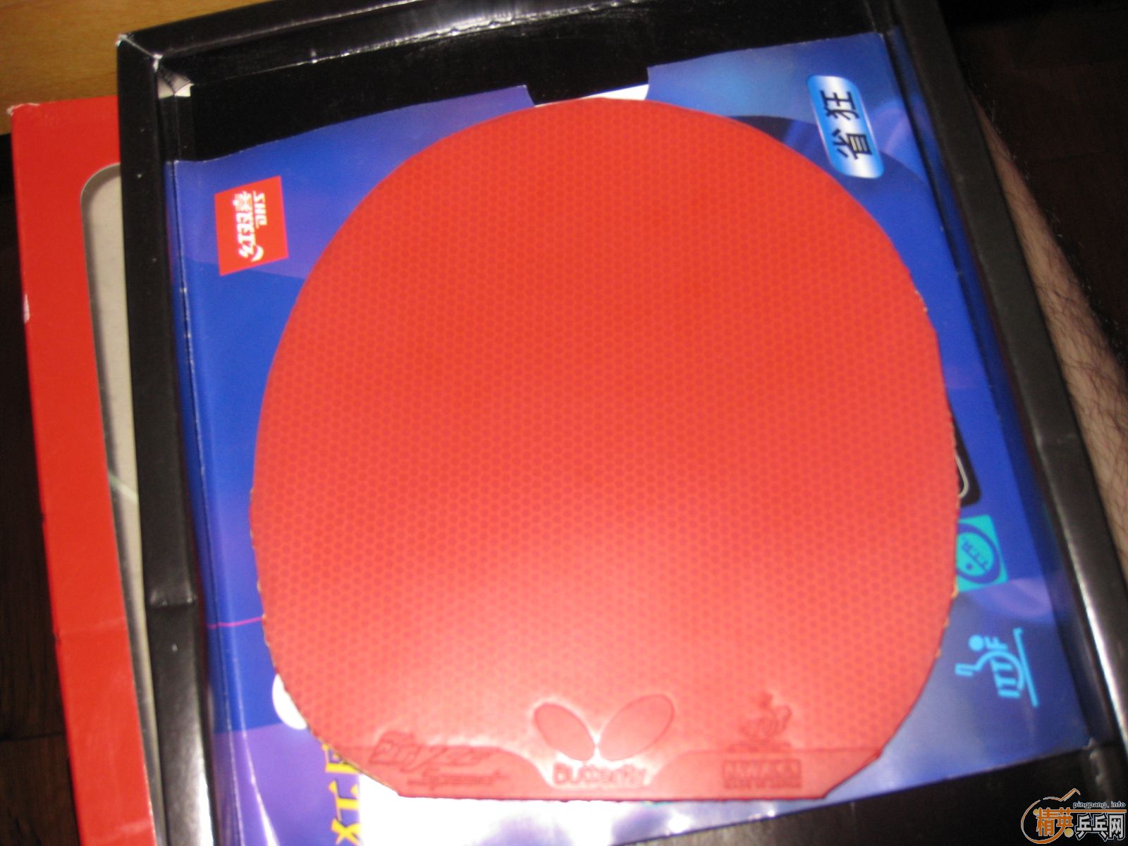 9�´�� 95��729����