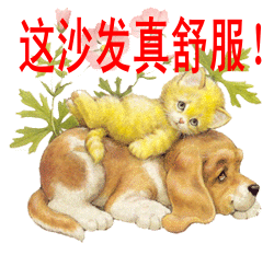 ƹ��������12���Ϻ�ʤ��һ ������ɹۿ�����