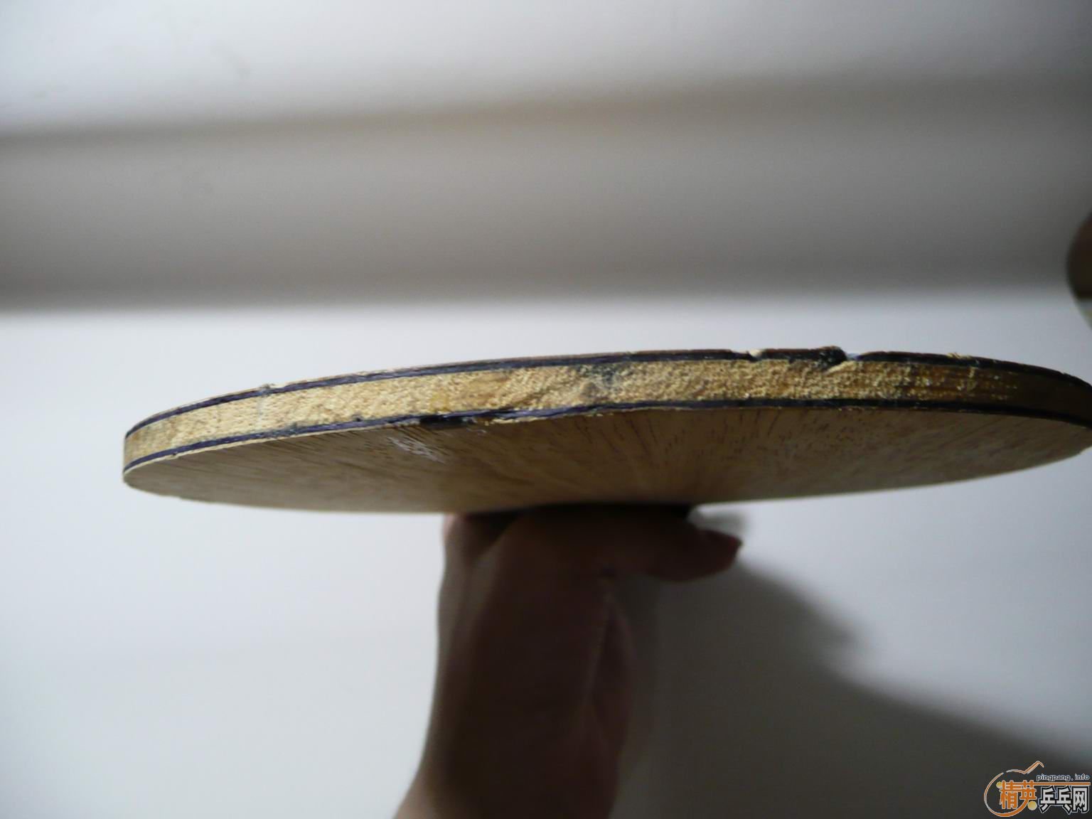 ST��EGһ�ѣ�180���ʡ����������׽���