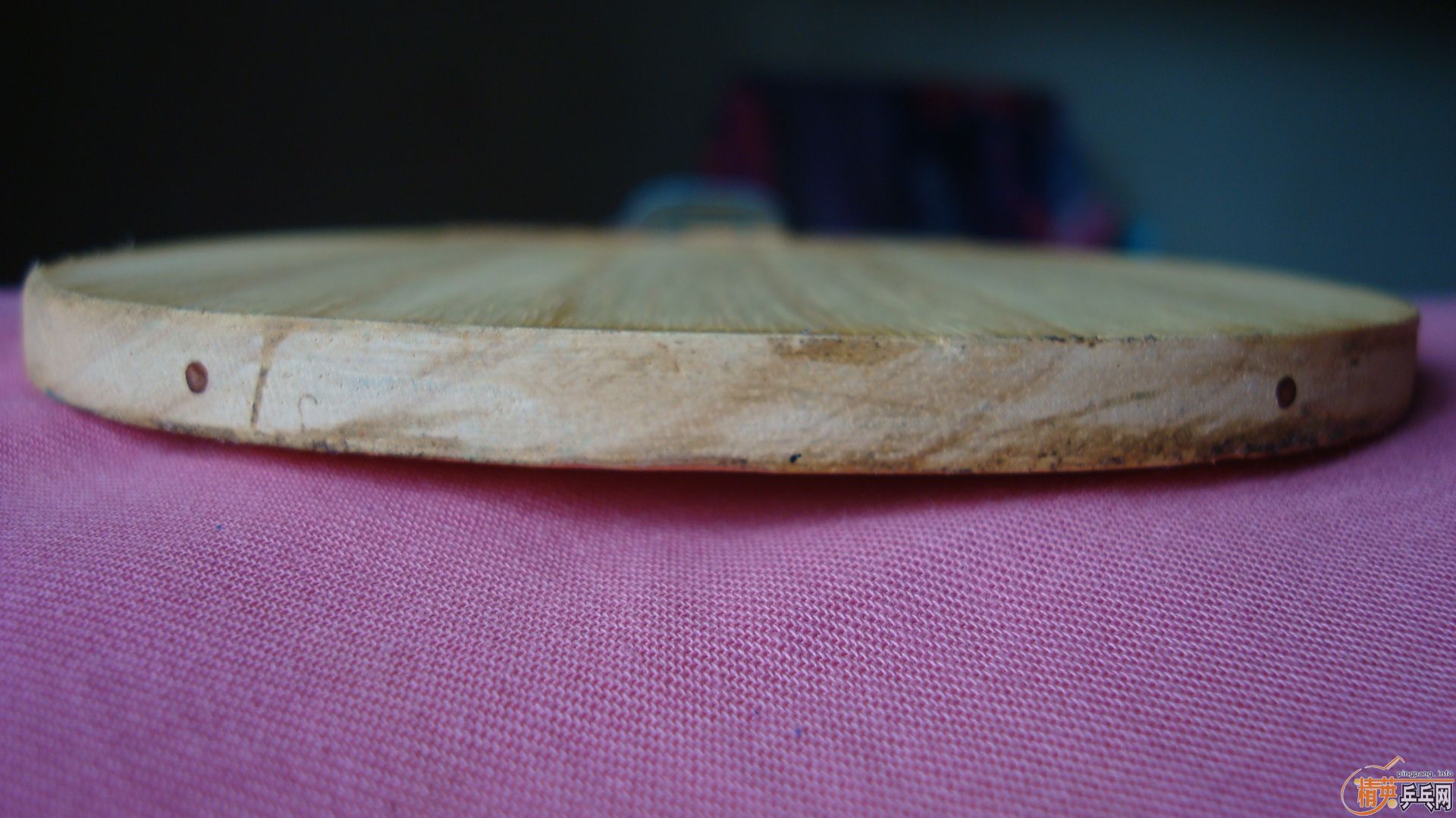 °JOOLA K5 FL 40Ⱥ  SWORD 