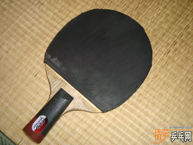 ��һ��һ��65Ԫ���㻦����