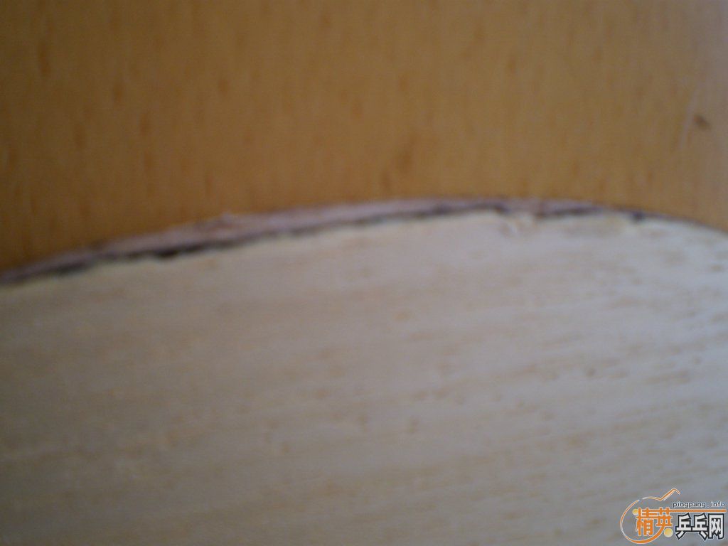 �����Ⲵ��