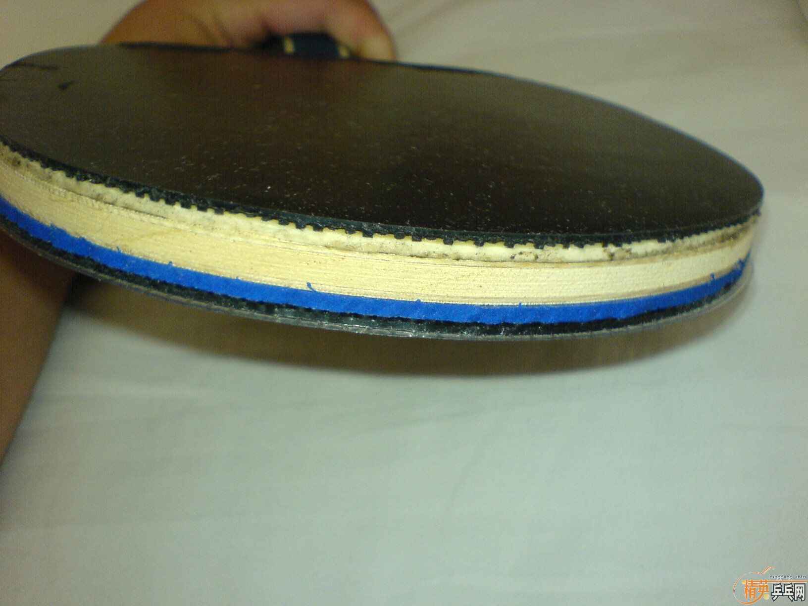 �£�����E1��������V�����ֽ�V�����ȫ�׳�