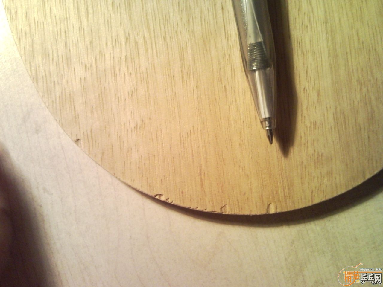 Ҳ�������� Nittaku ������ TENOR ���� FL �޻���ľ����