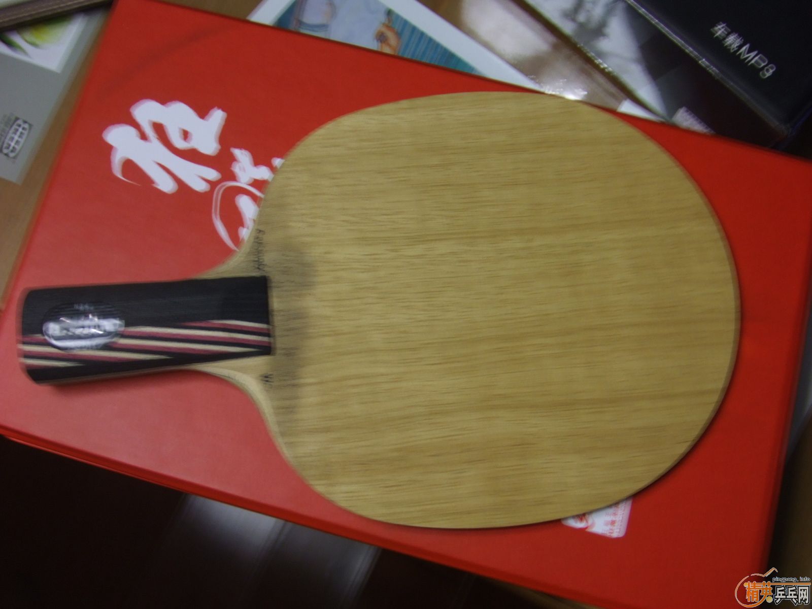 ��˹�������д�ĥ����06��3�����ף�310��