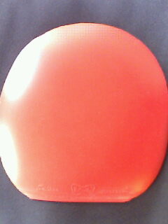 ���л�nittakuС��FL�������ף���ֵ������֧��֧����