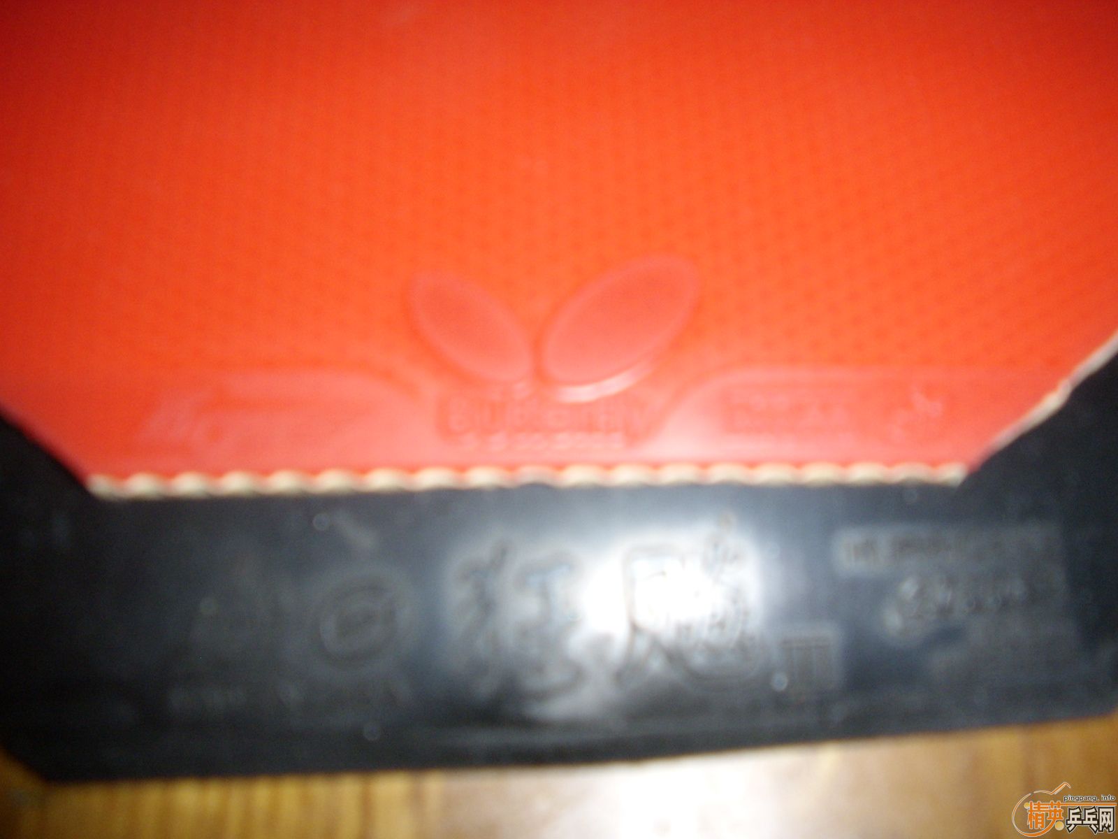 �ͼ۳����  ��������׽� �տ���