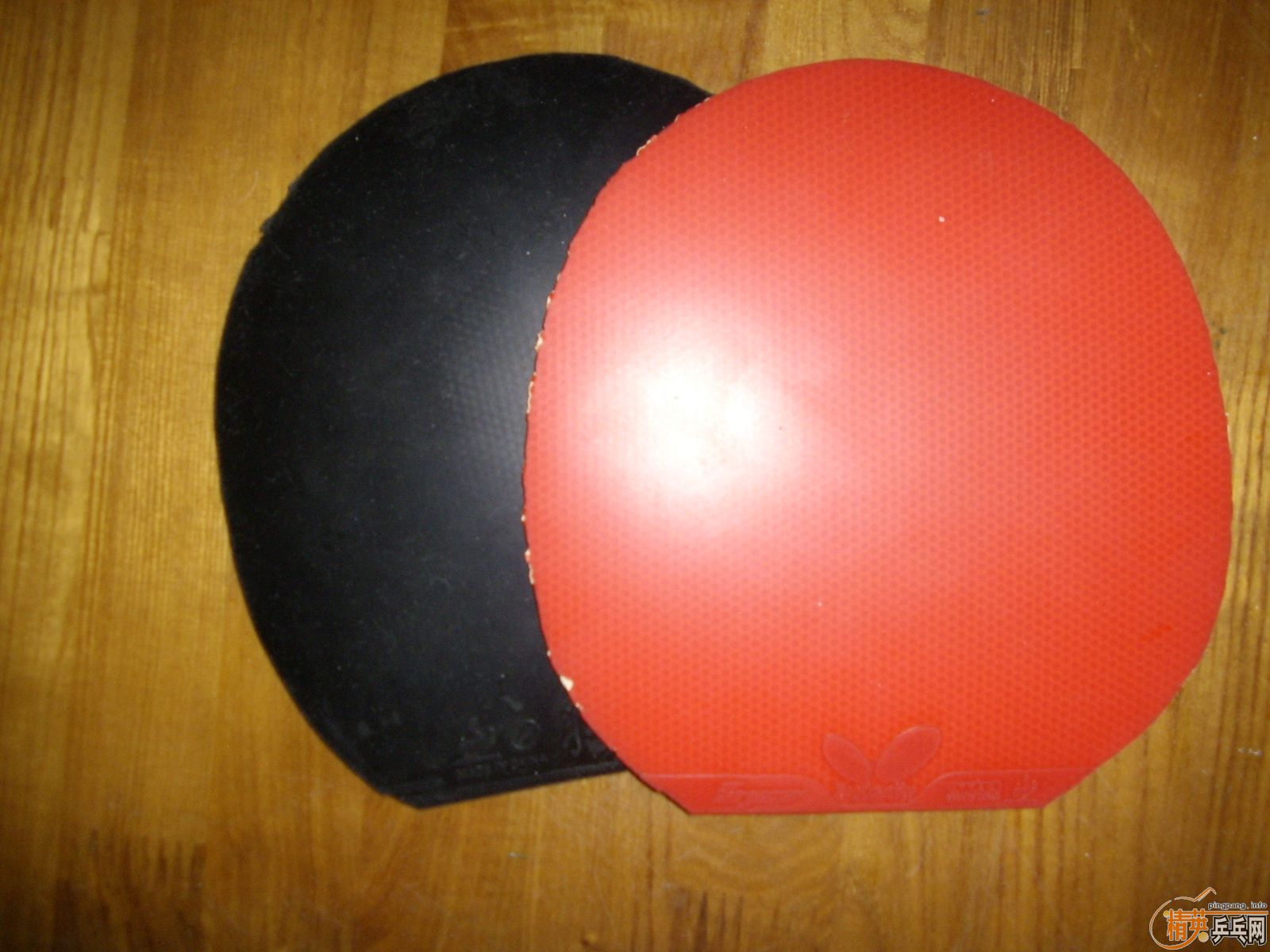 �ͼ۳����  ��������׽� �տ���